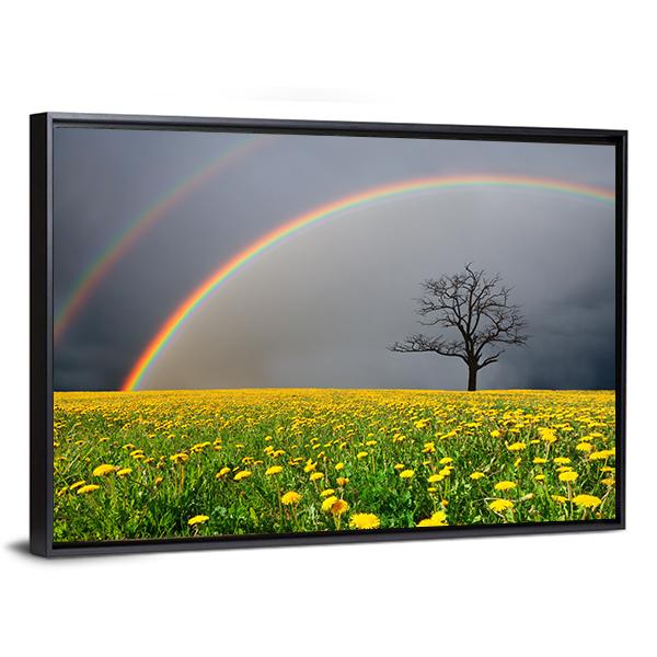 Dandelion Field With Rainbow Canvas Wall Art-5 Horizontal-Gallery Wrap-22" x 12"-Tiaracle