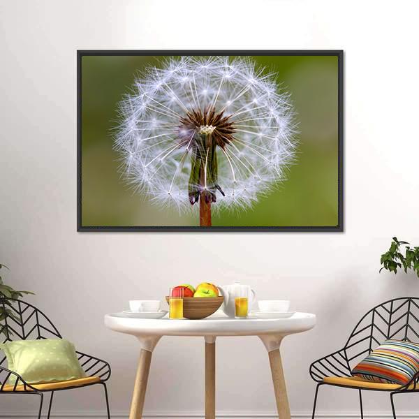 Dandelion Seeds Ball Canvas Wall Art-1 Piece-Floating Frame-24" x 16"-Tiaracle