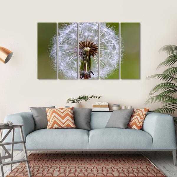 Dandelion Seeds Ball Canvas Wall Art-5 Horizontal-Gallery Wrap-22" x 12"-Tiaracle