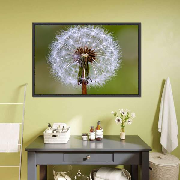 Dandelion Seeds Ball Canvas Wall Art-5 Horizontal-Gallery Wrap-22" x 12"-Tiaracle