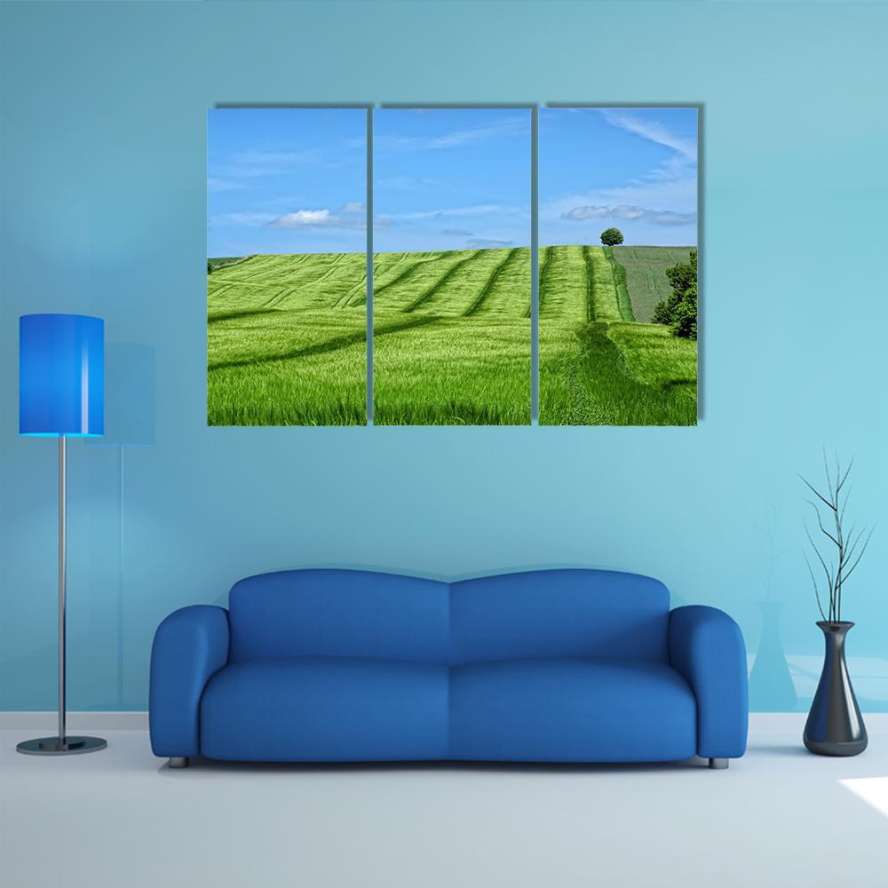 Danish Countryside Canvas Wall Art-3 Horizontal-Gallery Wrap-37" x 24"-Tiaracle