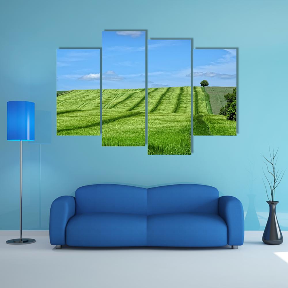 Danish Countryside Canvas Wall Art-4 Pop-Gallery Wrap-50" x 32"-Tiaracle