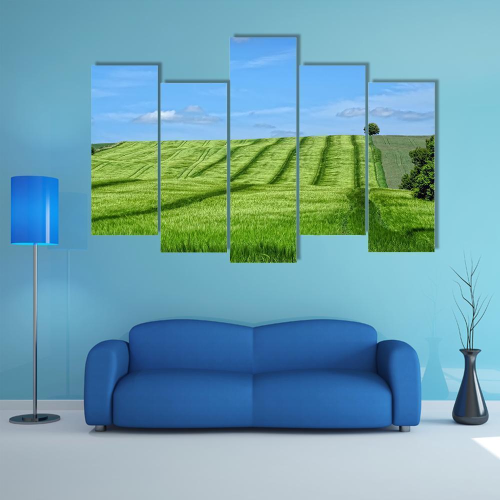 Danish Countryside Canvas Wall Art-5 Pop-Gallery Wrap-47" x 32"-Tiaracle