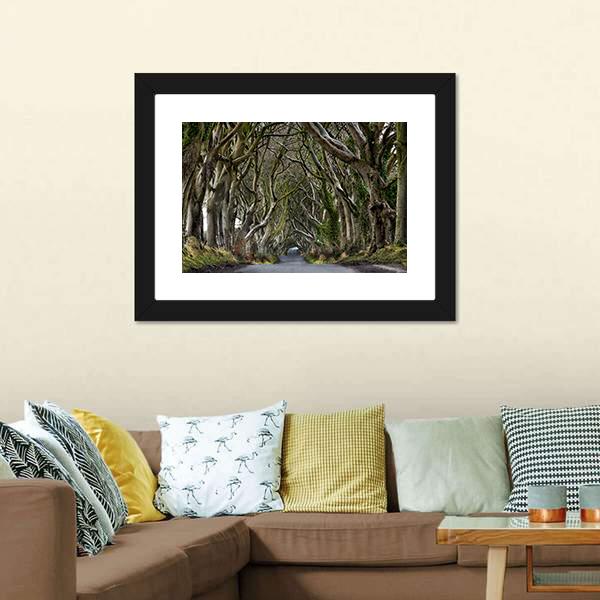 Dark Hedges Canvas Wall Art-1 Piece-Framed Print-20" x 16"-Tiaracle