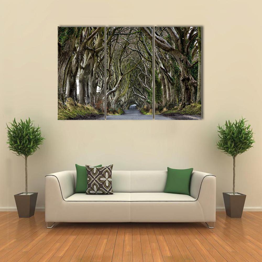 Dark Hedges Canvas Wall Art-3 Horizontal-Gallery Wrap-37" x 24"-Tiaracle