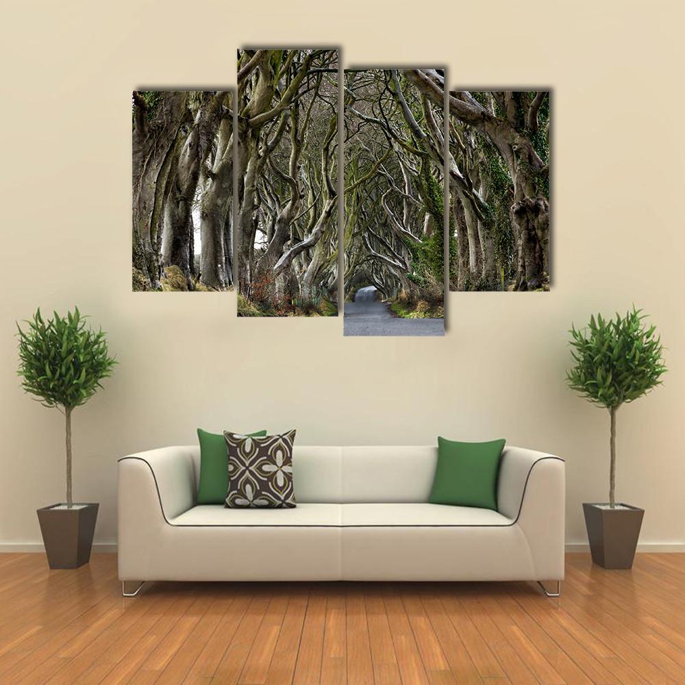 Dark Hedges Canvas Wall Art-5 Pop-Gallery Wrap-47" x 32"-Tiaracle