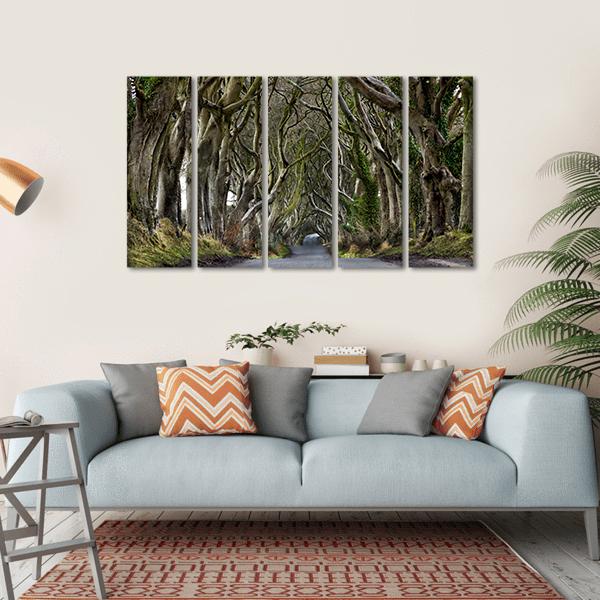 Dark Hedges Canvas Wall Art-5 Horizontal-Gallery Wrap-22" x 12"-Tiaracle