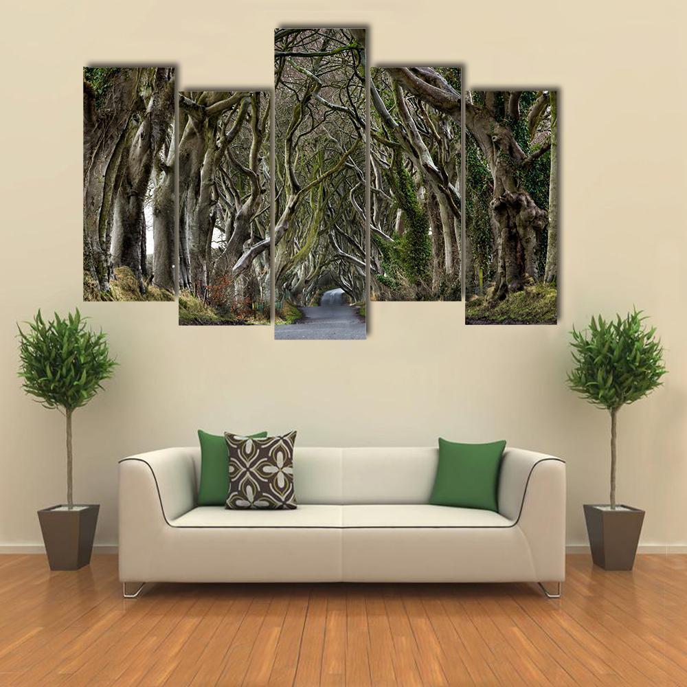 Dark Hedges Canvas Wall Art-5 Pop-Gallery Wrap-47" x 32"-Tiaracle