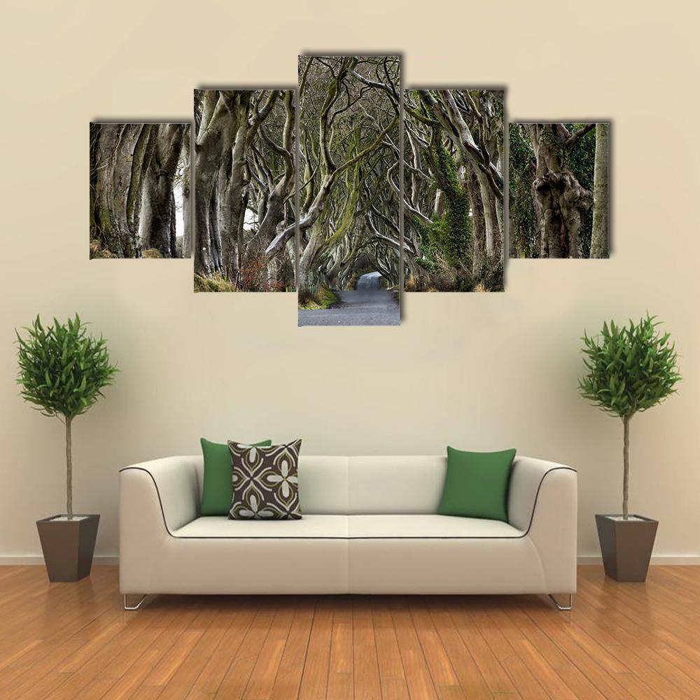 Dark Hedges Canvas Wall Art-5 Star-Gallery Wrap-62" x 32"-Tiaracle