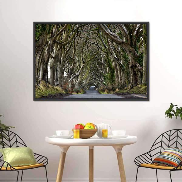 Dark Hedges Canvas Wall Art-1 Piece-Floating Frame-24" x 16"-Tiaracle