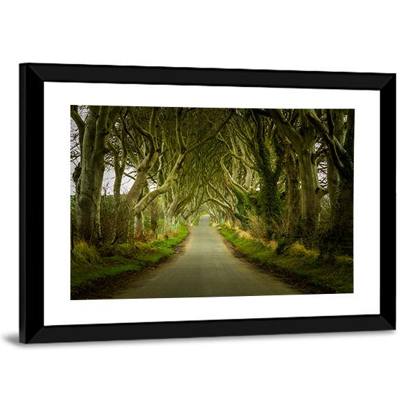 Dark Hedges With Road Canvas Wall Art-5 Horizontal-Gallery Wrap-22" x 12"-Tiaracle