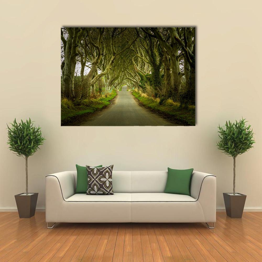 Road Through Dark Hedges Canvas Wall Art in gray, brown and green, single panel hung on a wall