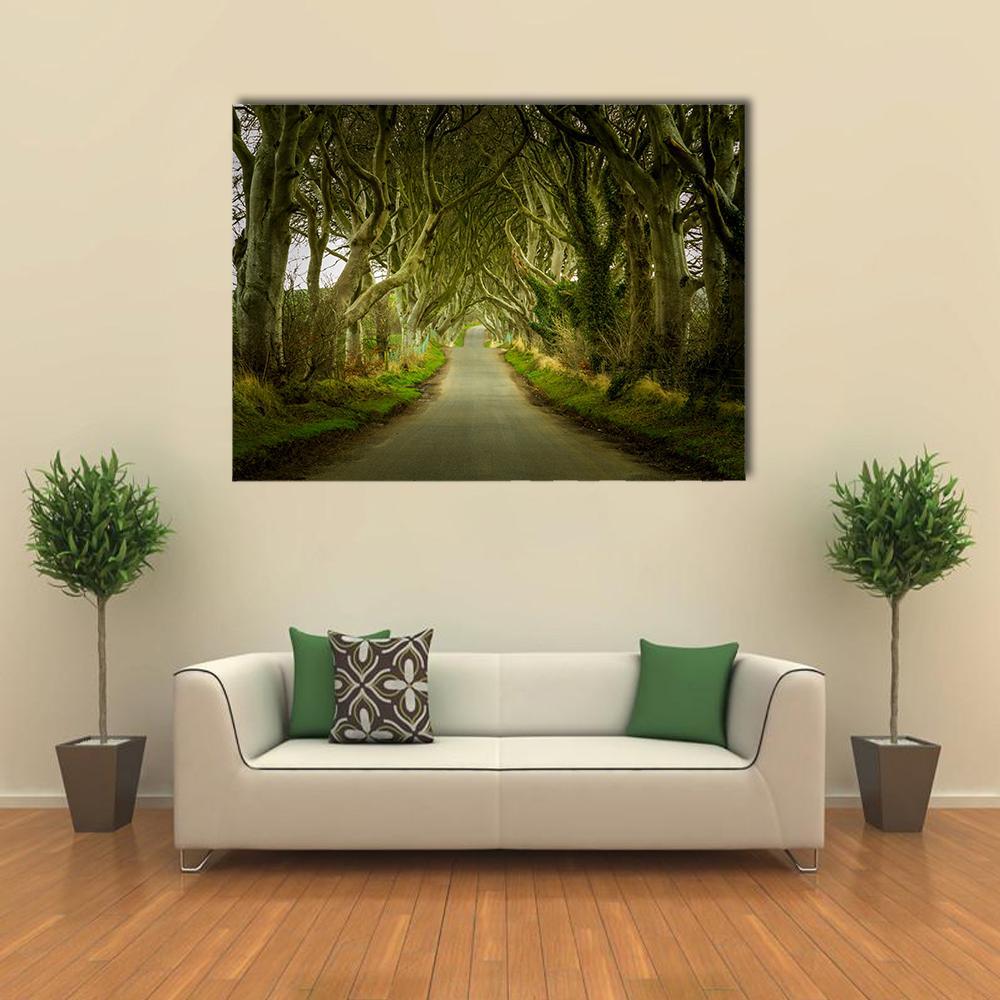 Dark Hedges With Road Canvas Wall Art-4 Square-Gallery Wrap-17" x 17"-Tiaracle