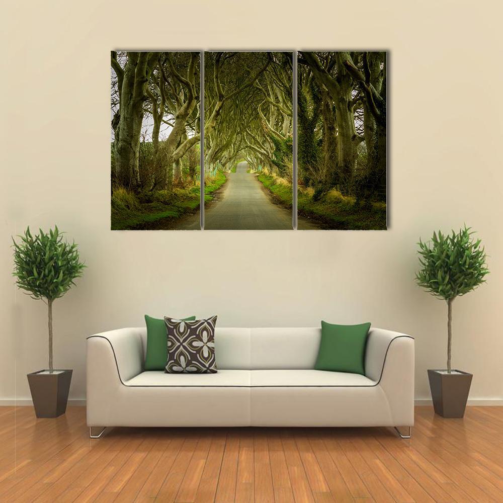 Dark Hedges With Road Canvas Wall Art-3 Horizontal-Gallery Wrap-37" x 24"-Tiaracle