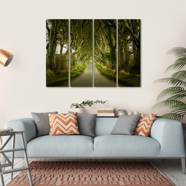 Dark Hedges With Road Canvas Wall Art-4 Horizontal-Gallery Wrap-34" x 24"-Tiaracle