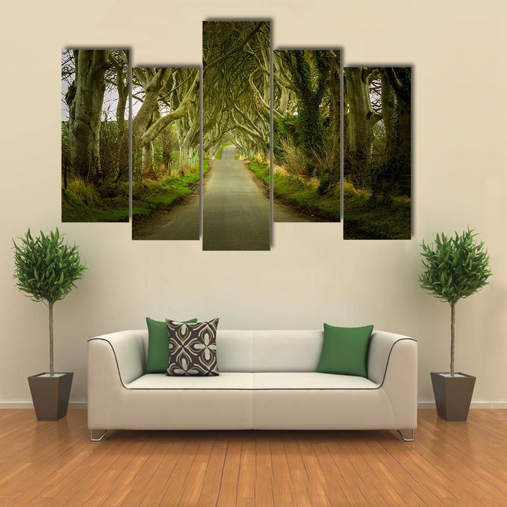 Dark Hedges With Road Canvas Wall Art-5 Pop-Gallery Wrap-47" x 32"-Tiaracle