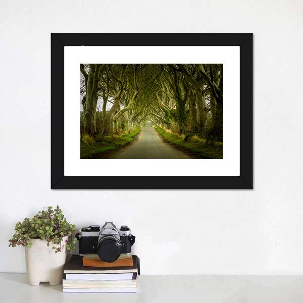 Dark Hedges With Road Canvas Wall Art-3 Horizontal-Gallery Wrap-25" x 16"-Tiaracle