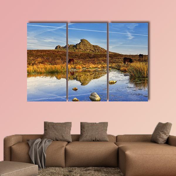 Dartmoor National Park UK Canvas Wall Art-3 Horizontal-Gallery Wrap-37" x 24"-Tiaracle