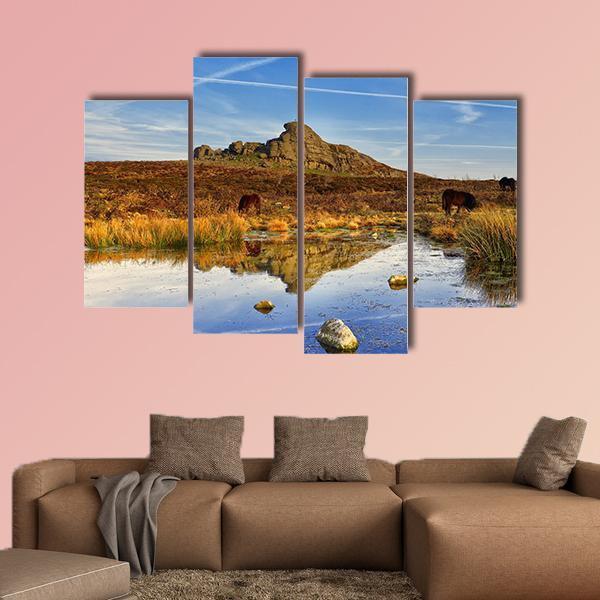 Dartmoor National Park UK Canvas Wall Art-4 Pop-Gallery Wrap-50" x 32"-Tiaracle