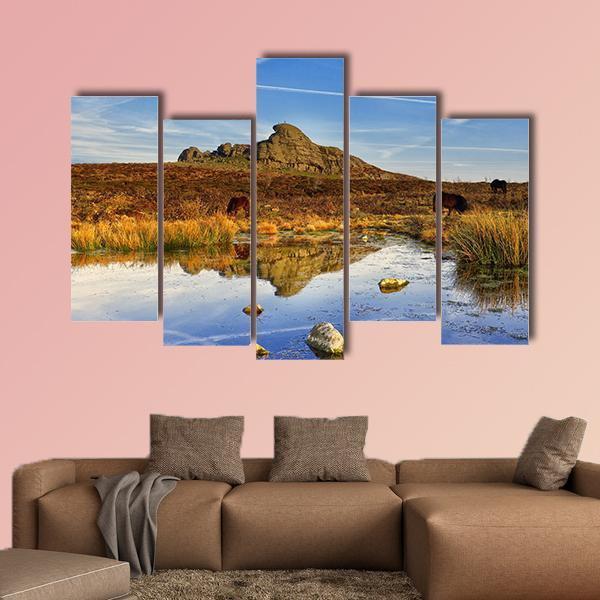 Dartmoor National Park UK Canvas Wall Art-5 Pop-Gallery Wrap-47" x 32"-Tiaracle