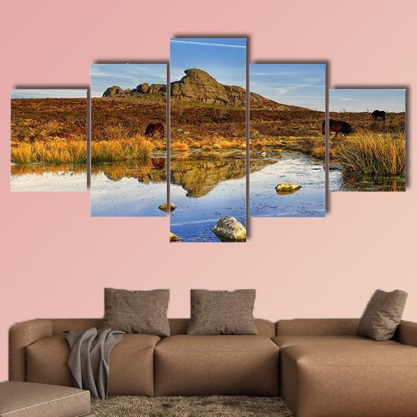 Dartmoor National Park UK Canvas Wall Art-5 Star-Gallery Wrap-62" x 32"-Tiaracle
