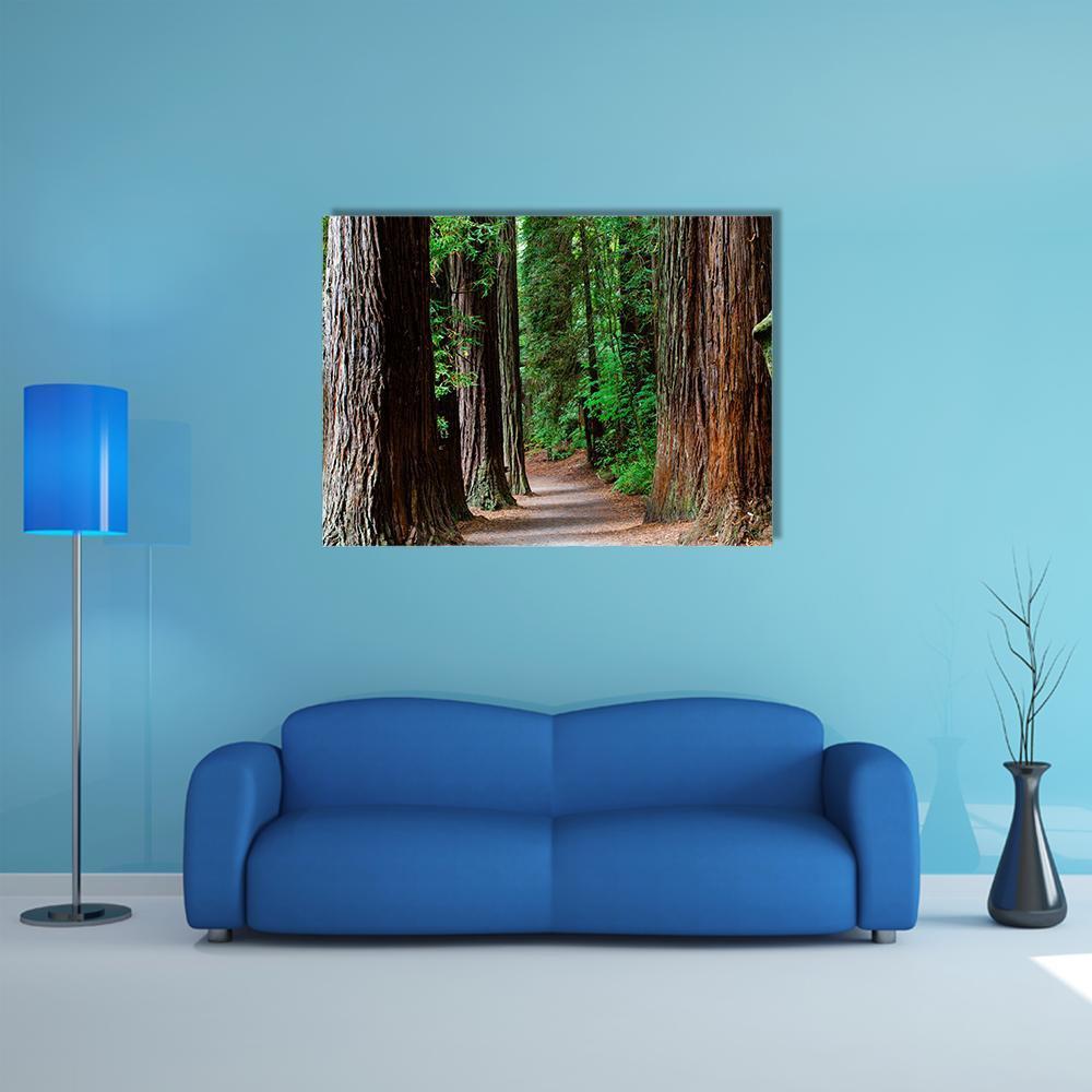 Redwood Forest Path Canvas Wall Art in brown and green, single panel hung on a wall