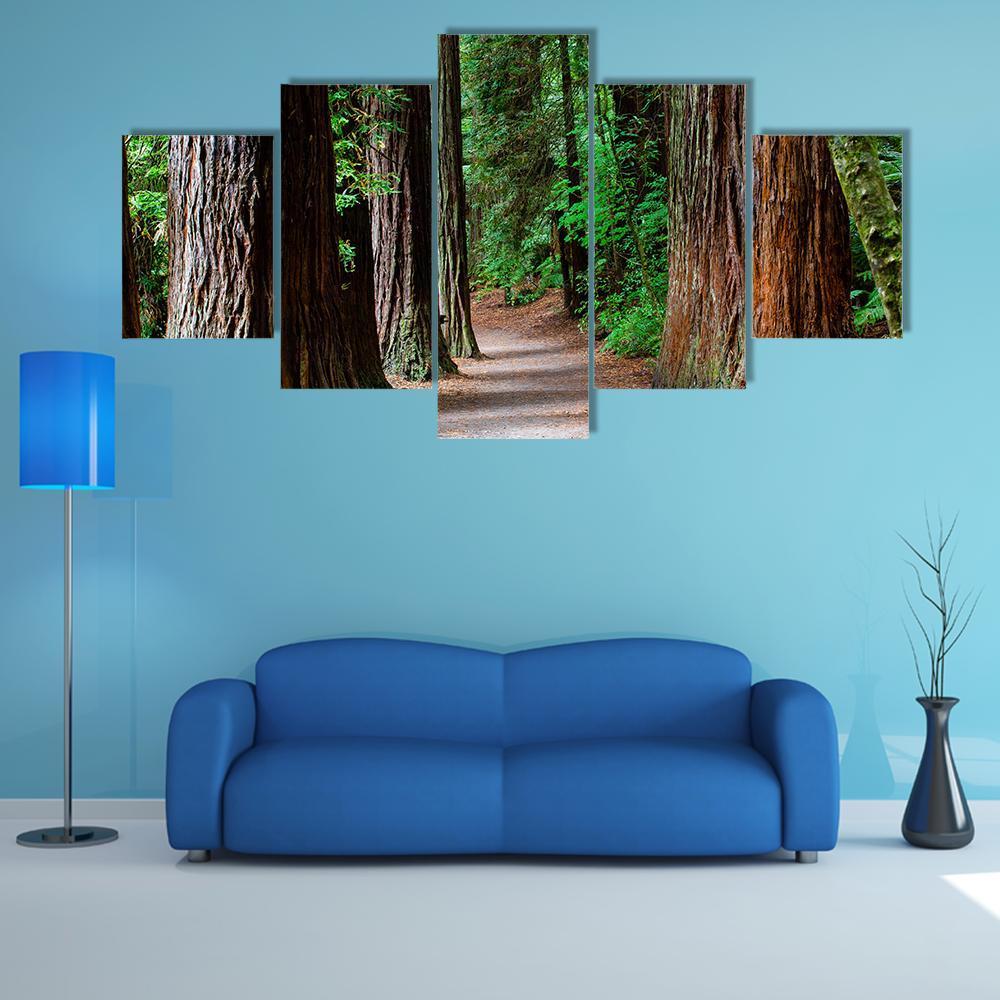 Redwoods Forest Rotorua Canvas Wall Art-5 Star-Gallery Wrap-42" x 21"-Tiaracle
