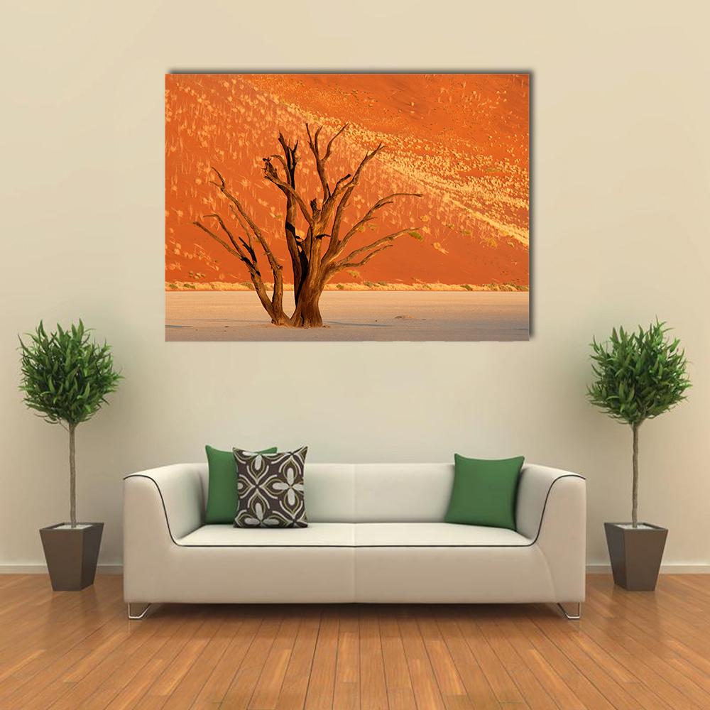 Dead Acacia Against Red Sand Dune, Namibia Canvas Wall Art in beige, red and orange, single panel hung on a wall