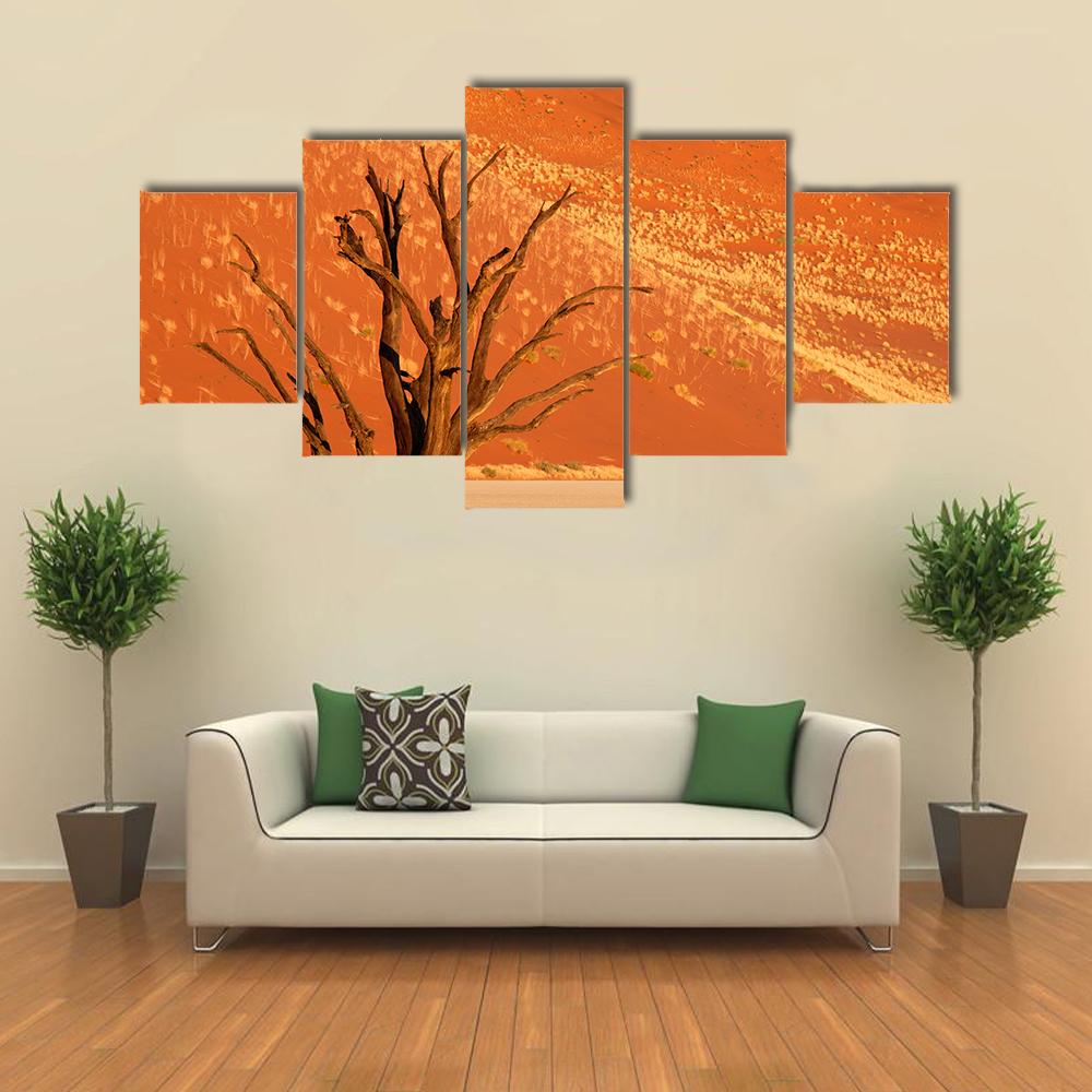 Dead Acacia Tree Against Red Sand Dune Namibia Canvas Wall Art-5 Star-Gallery Wrap-42" x 21"-Tiaracle