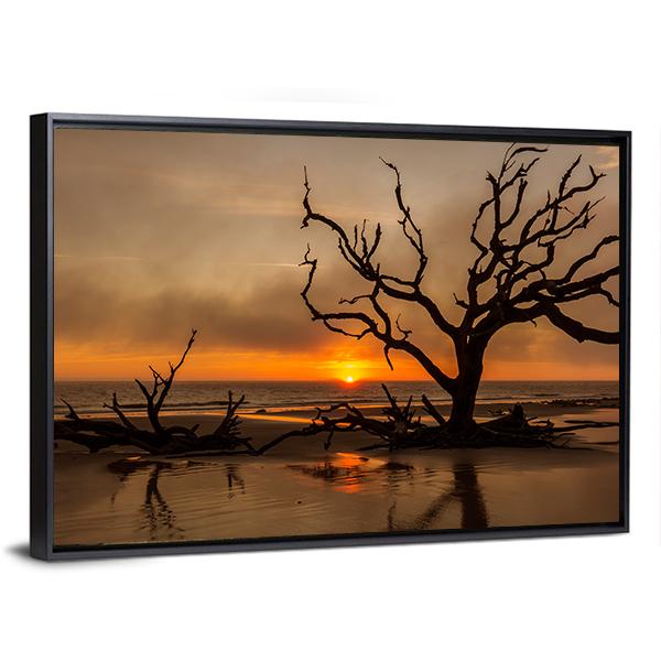 Dead Tree At Sunrise Canvas Wall Art-3 Horizontal-Gallery Wrap-25" x 16"-Tiaracle
