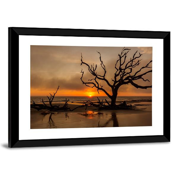 Dead Tree At Sunrise Canvas Wall Art-3 Horizontal-Gallery Wrap-25" x 16"-Tiaracle