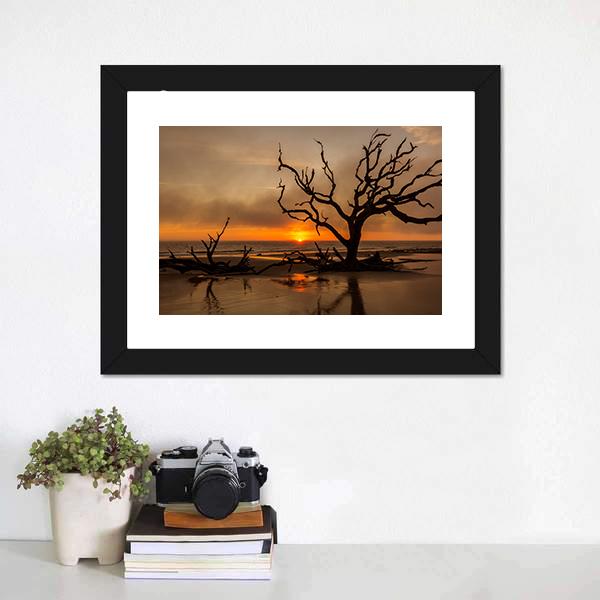 Dead Tree At Sunrise Canvas Wall Art-3 Horizontal-Gallery Wrap-25" x 16"-Tiaracle