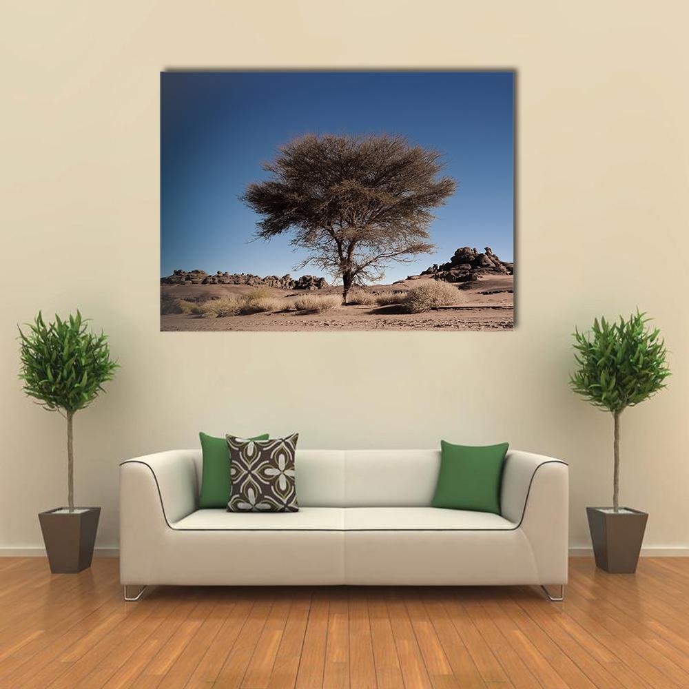 Desert Landscape Algeria Canvas Wall Art-1 Piece-Gallery Wrap-48" x 32"-Tiaracle