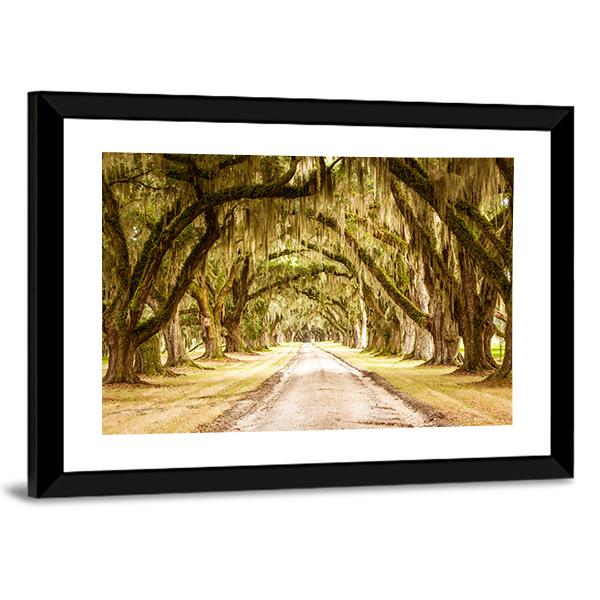 Dirt Road Forest Canvas Wall Art-3 Horizontal-Gallery Wrap-25&quot; x 16&quot;-Tiaracle