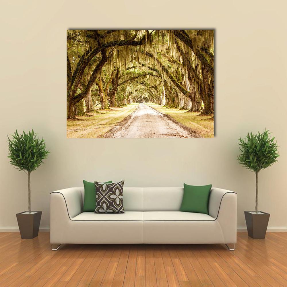 Dirt Road Forest Canvas Wall Art-1 Piece-Gallery Wrap-36&quot; x 24&quot;-Tiaracle