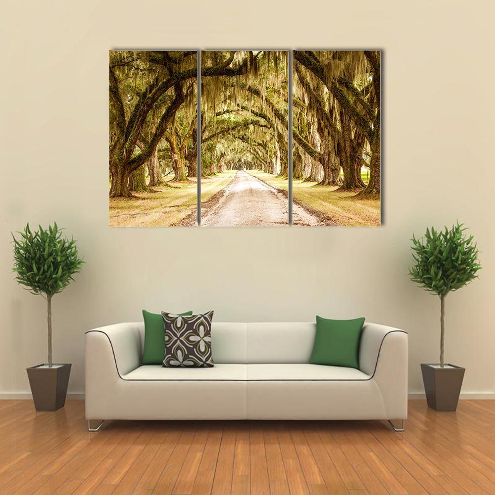 Oak Tree Tunnel on Dirt Road Canvas Wall Art in brown, yellow and green, hung on a wall