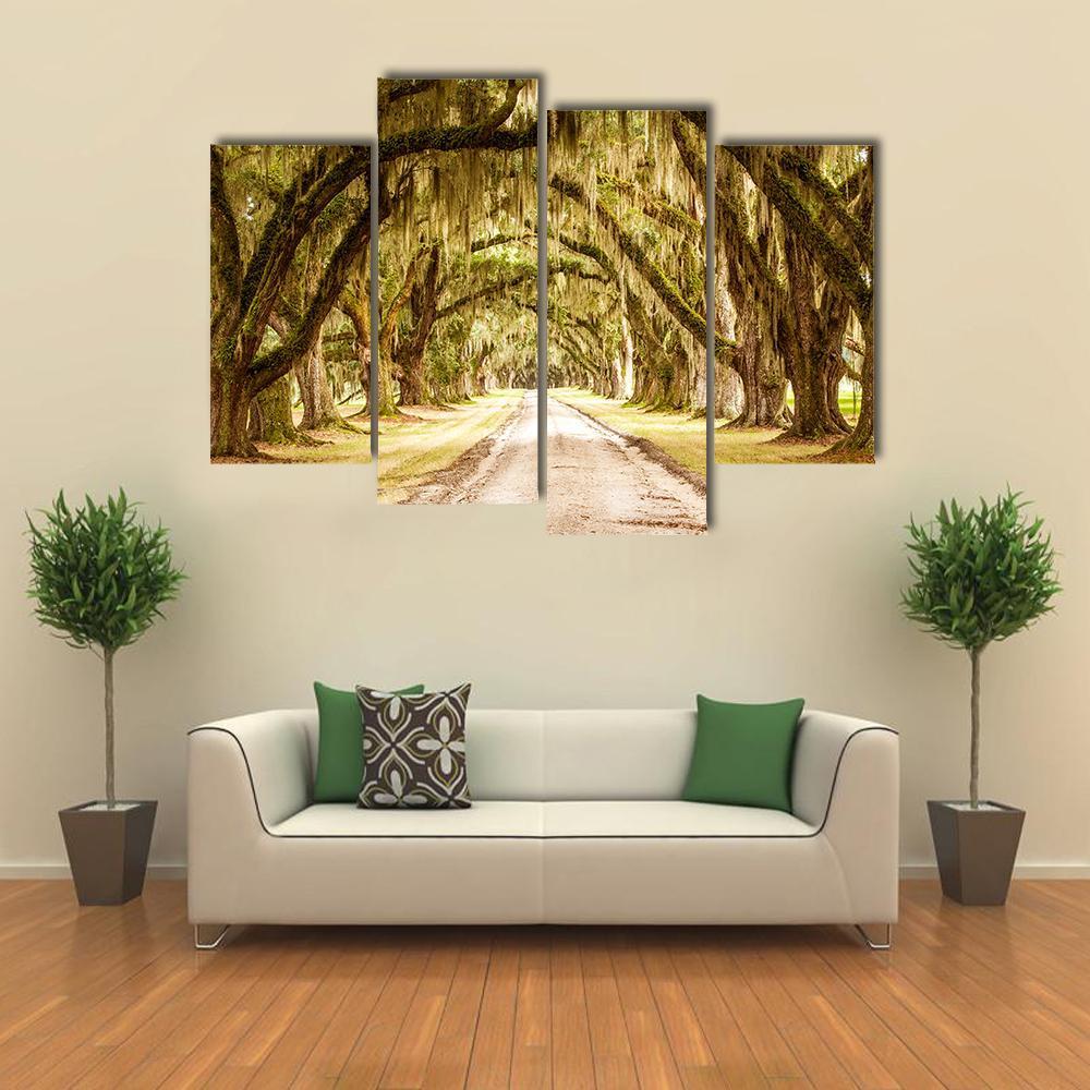 Dirt Road Forest Canvas Wall Art-4 Pop-Gallery Wrap-34" x 20"-Tiaracle