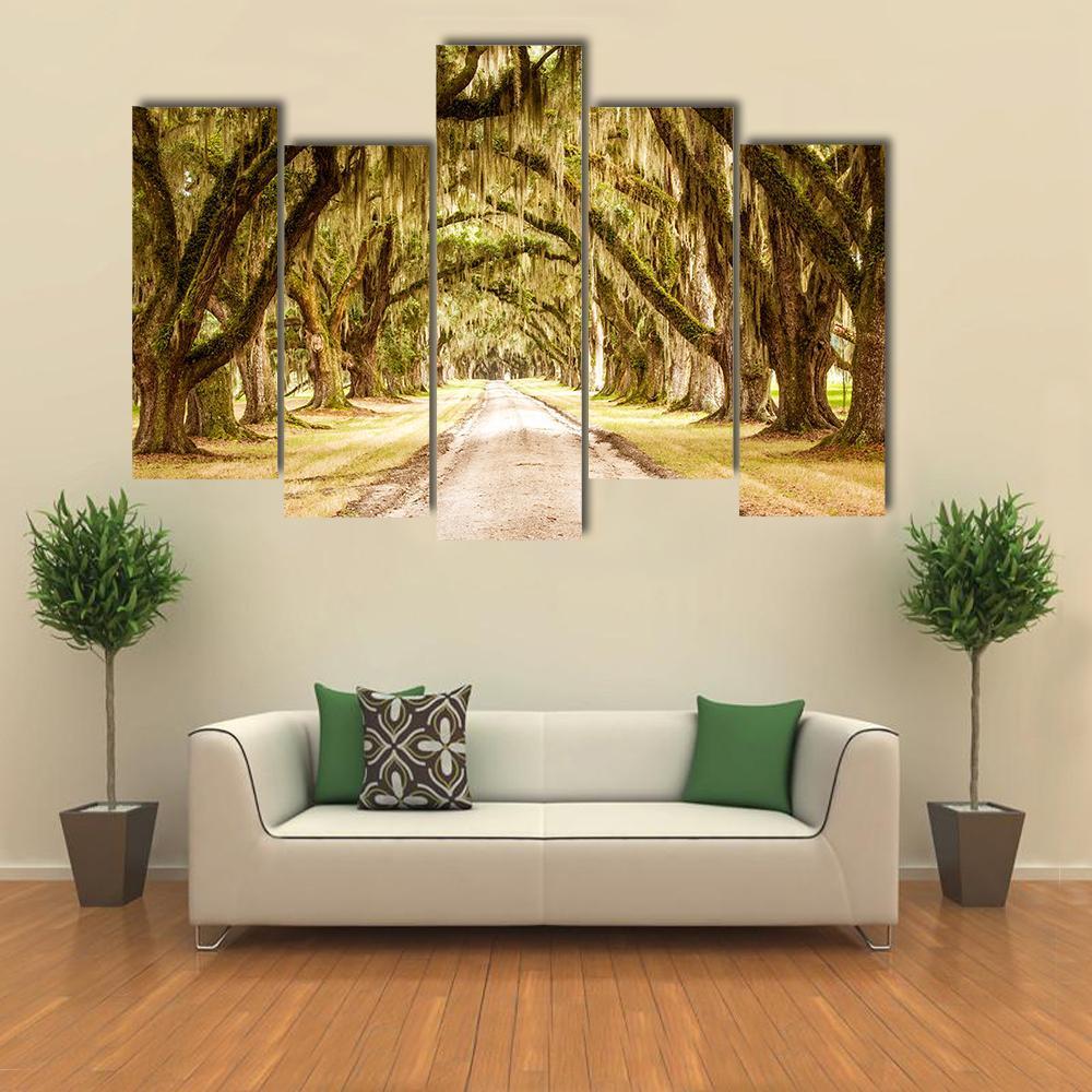 Dirt Road Forest Canvas Wall Art-5 Pop-Gallery Wrap-32" x 21"-Tiaracle
