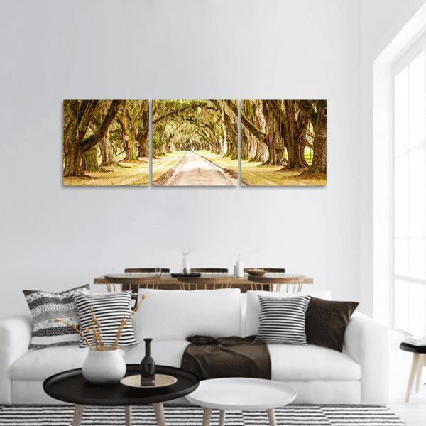 Oak-lined Dirt Road with Spanish Moss Panoramic Canvas Wall Art in beige, brown and green, hung on a wall