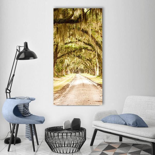 Tree-lined Dirt Road with Spanish Moss Vertical Canvas Wall Art in beige, brown and green, single vertical panel hung on a wall
