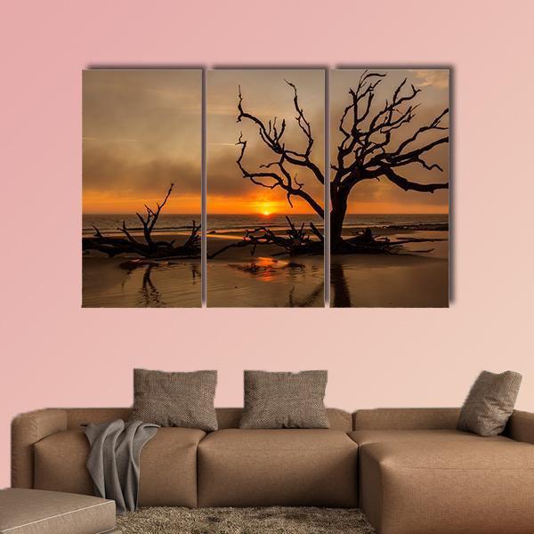 Dead Tree At Sunrise Canvas Wall Art-3 Horizontal-Gallery Wrap-25" x 16"-Tiaracle