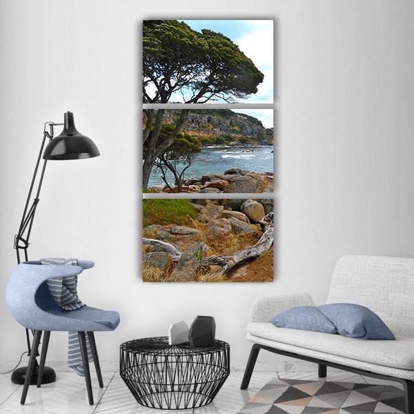 Driftwood Beach Coast Vertical Canvas Wall Art-3 Vertical-Gallery Wrap-12&quot; x 25&quot;-Tiaracle
