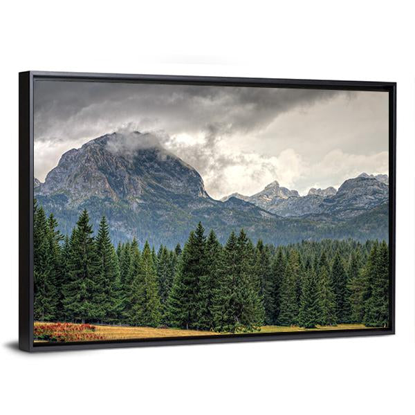 Durmitor National Park Canvas Wall Art-3 Horizontal-Gallery Wrap-25" x 16"-Tiaracle