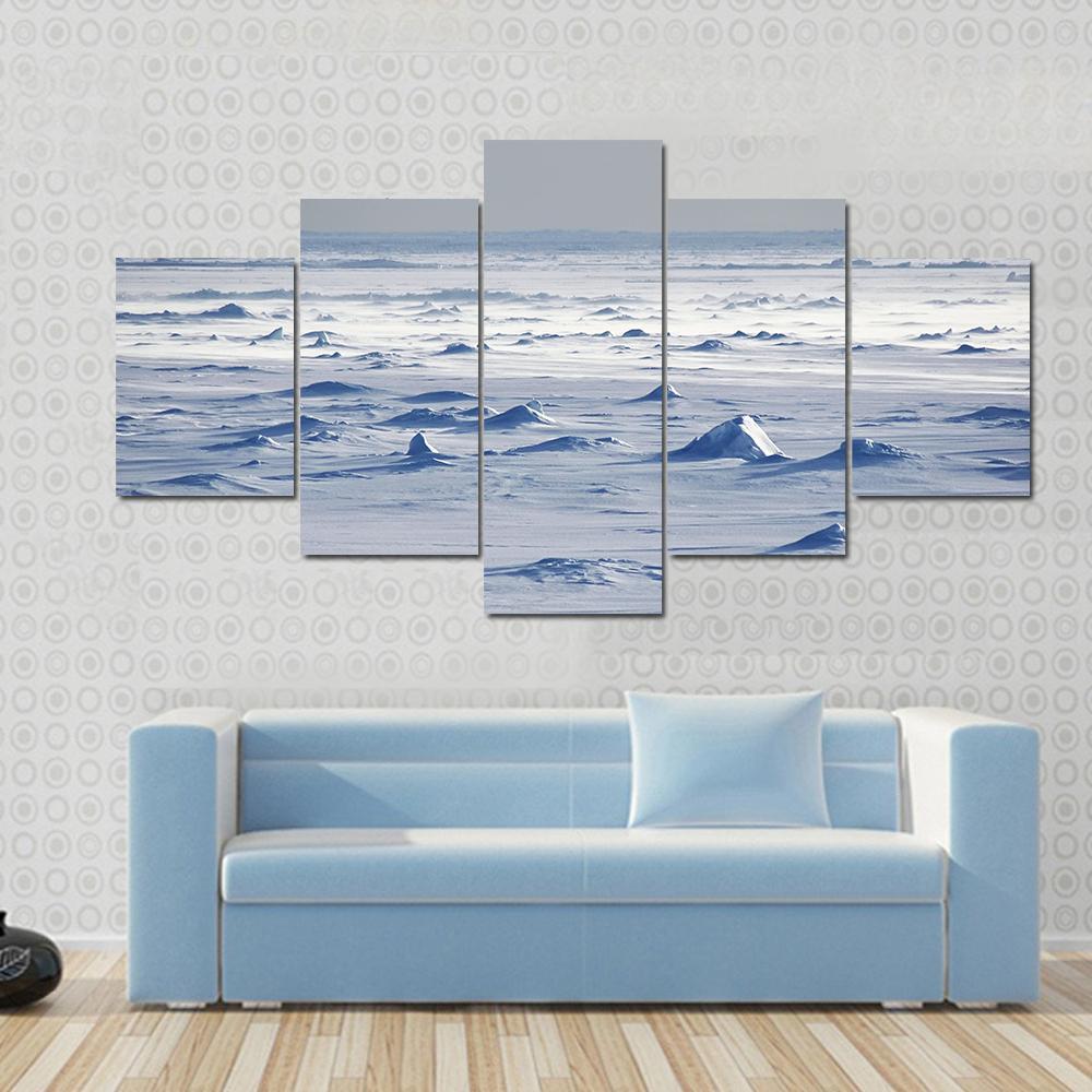 Endless Antarctic Snowfields Canvas Wall Art-4 Pop-Gallery Wrap-50" x 32"-Tiaracle