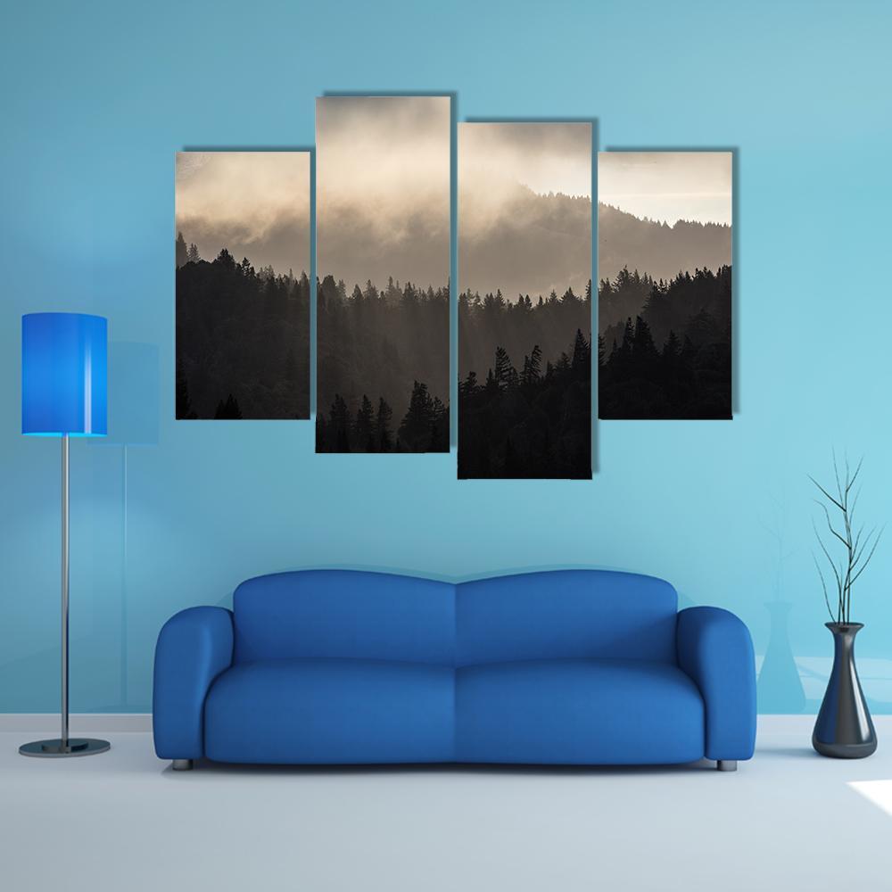 Endless Forest In Humboldt Canvas Wall Art-4 Pop-Gallery Wrap-34" x 20"-Tiaracle