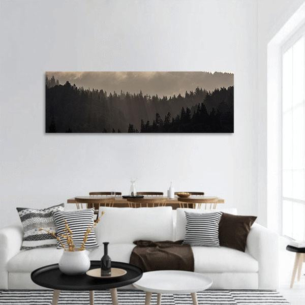Endless Forest In Humboldt Panoramic Canvas Wall Art-3 Piece-25" x 08"-Tiaracle