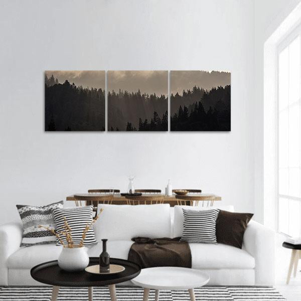 Endless Forest In Humboldt Panoramic Canvas Wall Art-3 Piece-25" x 08"-Tiaracle