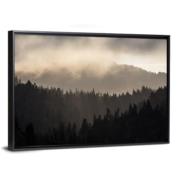 Endless Forest In Humboldt Panoramic Canvas Wall Art-1 Piece-36&quot; x 12&quot;-Tiaracle