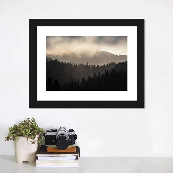 Endless Forest In Humboldt Vertical Canvas Wall Art-3 Vertical-Gallery Wrap-12" x 25"-Tiaracle