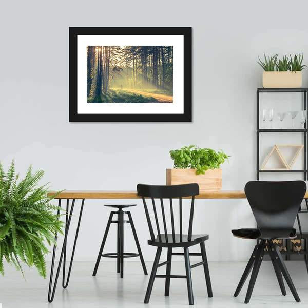 Evening Forest With Sun Canvas Wall Art-5 Horizontal-Gallery Wrap-22" x 12"-Tiaracle